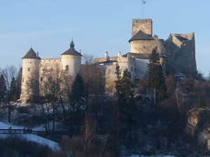 Nidzica zamek